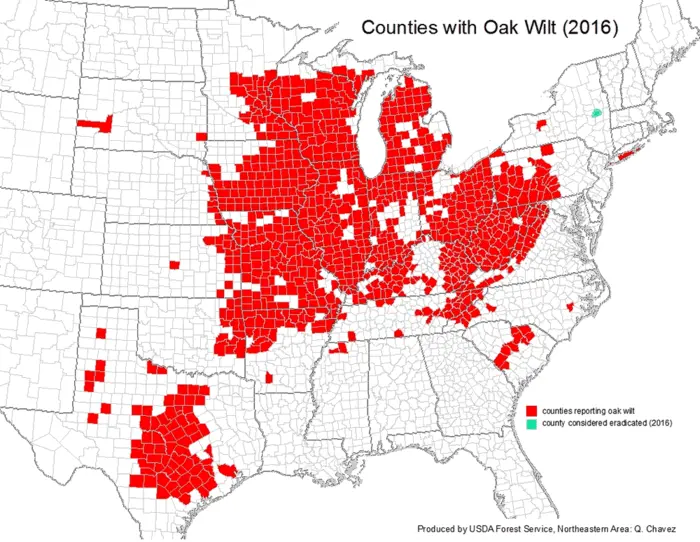 oakwilt-2016distributionmap