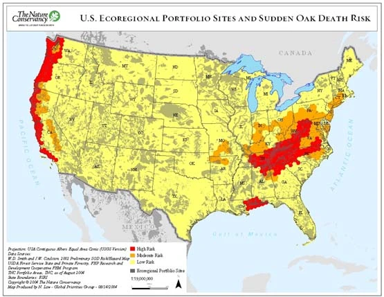 sudden-oak-death-img